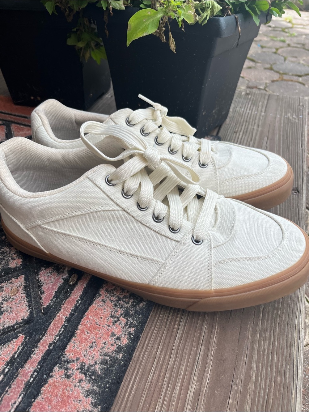 No Boundaries Men's Low-Top Canvas Sneakers in Off-White with Gum Outsole